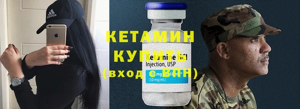 сатива Новодвинск