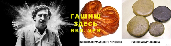 сатива Новодвинск