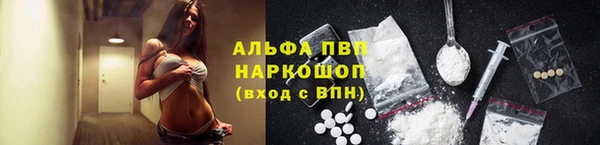 сатива Новодвинск