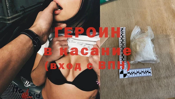 сатива Новодвинск