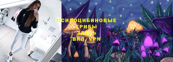 сатива Новодвинск