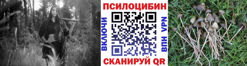 как найти закладки  Отрадное  мориарти как зайти  Галлюциногенные грибы Magic Shrooms 
